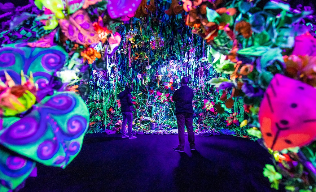 By the end of the year, you can attend the light-interactive exhibit BLIK BLIK Mysterious Forest in Pilsen, which combines digital art and technology with games and entertainment for the whole family. 